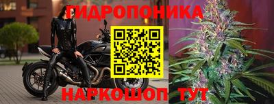 PSILOCYBIN Можга