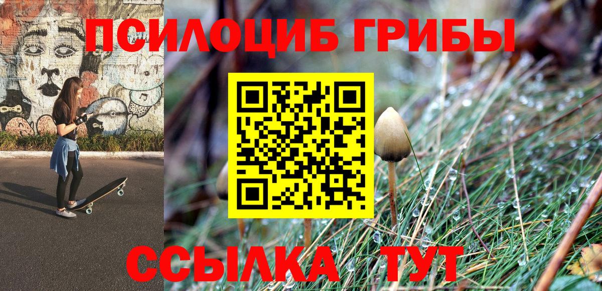 Троицк  Галлюциногенные грибы Psilocybine cubensis  Вход с VPN  Галлюциногенные грибы MAGIC MUSHROOMS 